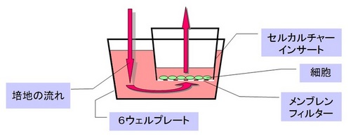 灌流培養システム概念図.jpgのサムネール画像