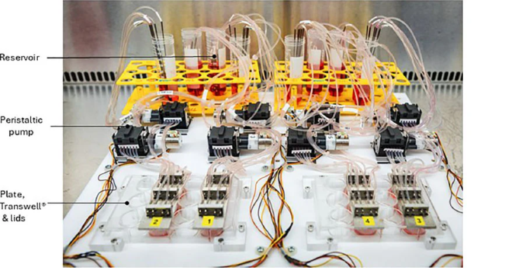 CustomFluidControlSystem